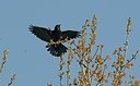 BUITEN BEELD Foto: 145312