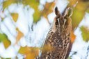BUITEN BEELD Foto: 145426