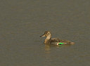 BUITEN BEELD Foto: 145430