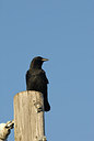 BUITEN BEELD Foto: 145439