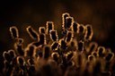 BUITEN BEELD Foto: 145499