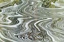 BUITEN BEELD Foto: 145576