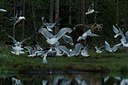 BUITEN BEELD Foto: 145631