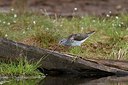 BUITEN BEELD Foto: 145637