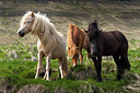 BUITEN BEELD Foto: 145792