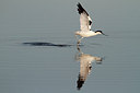 BUITEN BEELD Foto: 145879