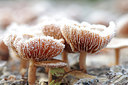 BUITEN BEELD Foto: 145920