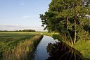 BUITEN BEELD Foto: 145933