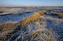 BUITEN BEELD Foto: 145949