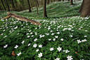 BUITEN BEELD Foto: 146047