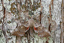 BUITEN BEELD Foto: 146135