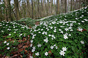 BUITEN BEELD Foto: 146175