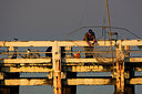 BUITEN BEELD Foto: 146199