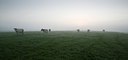 BUITEN BEELD Foto: 146209