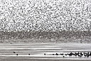 BUITEN BEELD Foto: 146210