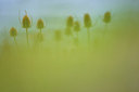 BUITEN BEELD Foto: 146312