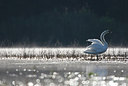 BUITEN BEELD Foto: 146331