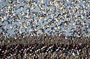BUITEN BEELD Foto: 146392