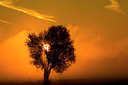 BUITEN BEELD Foto: 146403