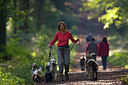 BUITEN BEELD Foto: 146420