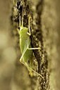 BUITEN BEELD Foto: 146449