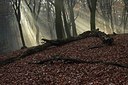 BUITEN BEELD Foto: 146460