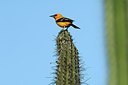 BUITEN BEELD Foto: 146532