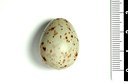 BUITEN BEELD Foto: 146559