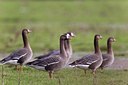 BUITEN BEELD Foto: 146708