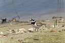 BUITEN BEELD Foto: 146779