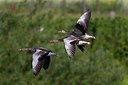 BUITEN BEELD Foto: 146786