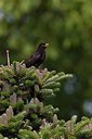 BUITEN BEELD Foto: 146809