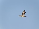 BUITEN BEELD Foto: 146821