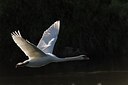 BUITEN BEELD Foto: 146822