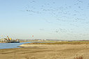 BUITEN BEELD Foto: 146865