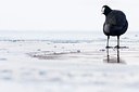 BUITEN BEELD Foto: 146884