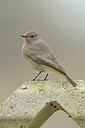 BUITEN BEELD Foto: 146989
