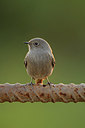 BUITEN BEELD Foto: 146991