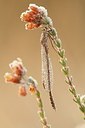 BUITEN BEELD Foto: 147357