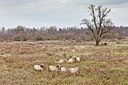 BUITEN BEELD Foto: 147627
