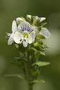 BUITEN BEELD Foto: 147725