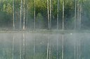 BUITEN BEELD Foto: 147845