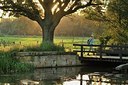 BUITEN BEELD Foto: 147968