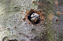 BUITEN BEELD Foto: 148030