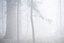 BUITEN BEELD Foto: 148111