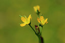 BUITEN BEELD Foto: 148221