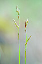 BUITEN BEELD Foto: 148260