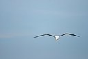 BUITEN BEELD Foto: 148298