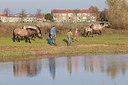 BUITEN BEELD Foto: 148356