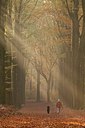 BUITEN BEELD Foto: 148361